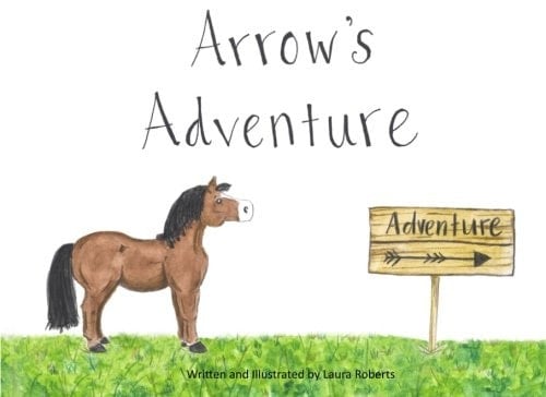 Arrow's Adventure