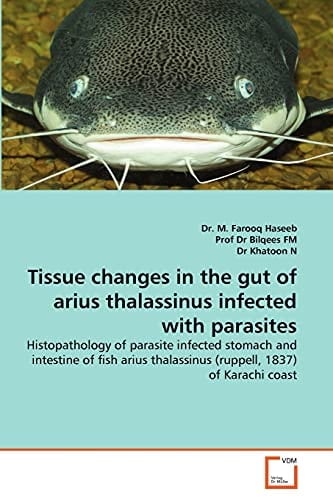 Tissue changes in the gut of arius thalassinus infected with parasites: Histopathology of parasite infected stomach and intestine of fish arius thalassinus (ruppell, 1837) of Karachi coast