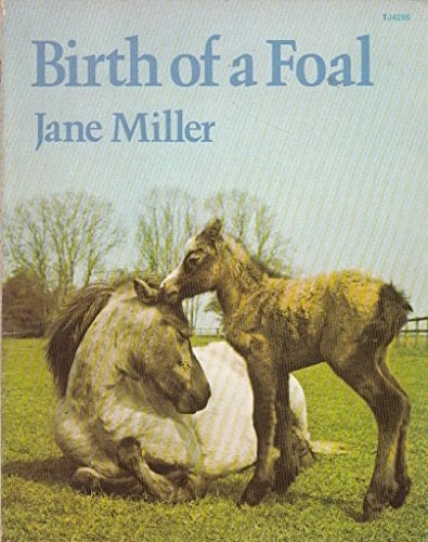 Birth of a Foal