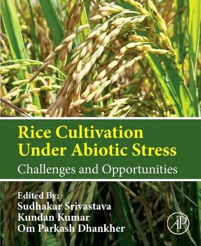Rice Cultivation Under Abiotic Stress Challenges and Opportunities