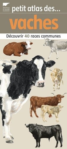Petit atlas des vaches 40 races à découvrir et identifier