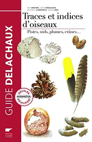 Traces et indices d'oiseaux Pistes, nids, plumes, crânes...
