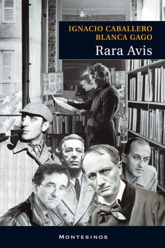 Rara Avis