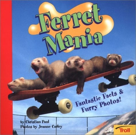 Ferret Mania Fantastic Facts and Furry Photos