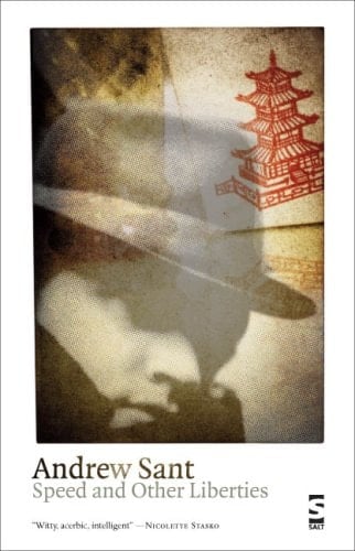 Speed and Other Liberties (Salt Modern Poets)