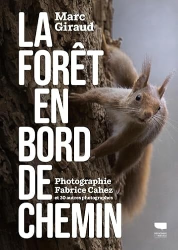 La forêt en bord de chemin