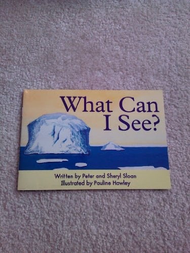 What Can I See/FOUN/a