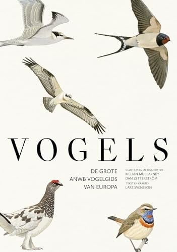 Vogels de grote ANWB vogelgids van Europa