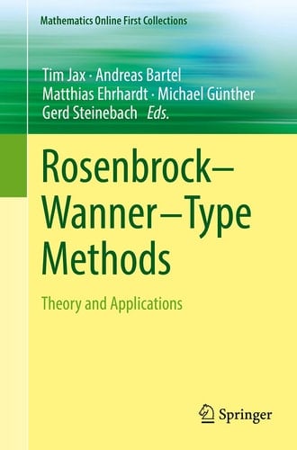 Rosenbrock—Wanner–Type Methods Theory and Applications