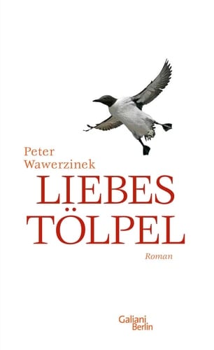 Liebestölpel Roman