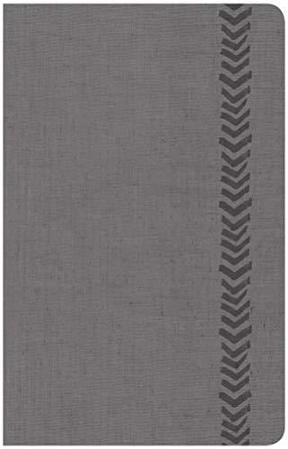 CSB Essential Teen Study Bible, Personal Size, Gray LeatherTouch