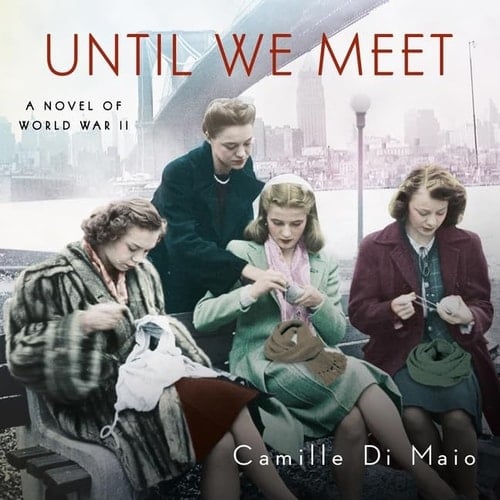 Until We Meet: Library Edition