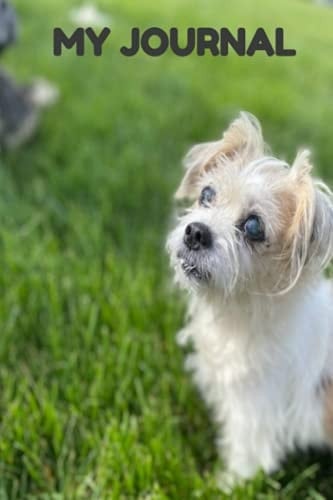 Cute Journal For Journaling