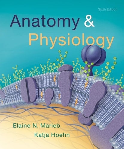 Anatomy & Physiology