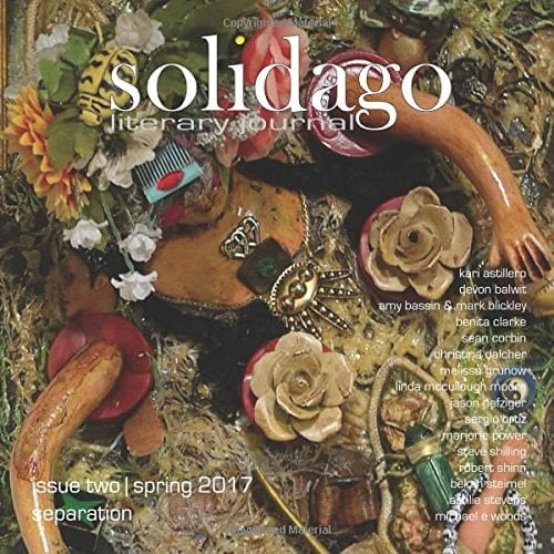 Solidago Spring 2017