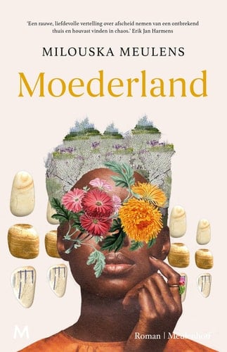 Moederland Roman