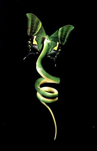 Watterling Gallery Presents Nathalia Edenmont Immortal : 7/6 2006 to 7/7/ 2006