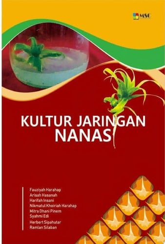 KULTUR JARINGAN NANAS