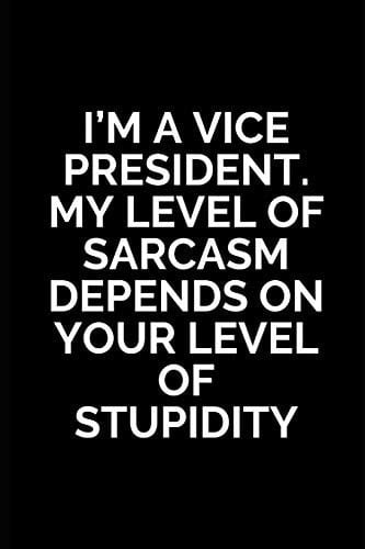 I'm A Vice President.My Level of Sarcasm Depends On Your Level of Stupidity Vice President Gifts, Unique Funny Inspirational Gift for Men and Women - Diary Diary for Birthday, Christmas, Wedding Gifts