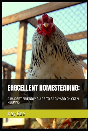 EGGCELLENT HOMESTEADING:: A BUDGET FRIENDLY GUIDE TO BACKYARD CHICKEN KEEPING