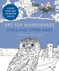 Art for Mindfulness: Owls & Other Birds