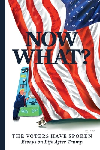 Now What? The Voters Have Spoken--Essays on Life After Trump