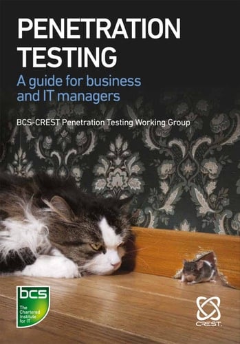 Penetration Testing A guide for business and IT managers