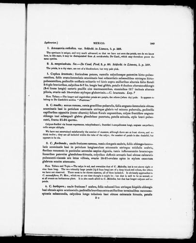 The botany of Captain Beechey's voyage: comprising an account of the plants collected by Messrs. Lay and Collie, and other officers of the expedition, during the voyage to the Pacific and Bering's Strait, performed in His Majesty's ship Blossom, under the command of Captain F.W. Beechey, R.N., F.R.S., & A.S., in the years 1825, 26, 27, and 28