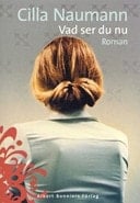 Vad ser du nu roman