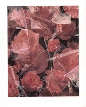 Urs Lüthi art is the better life : tableaux 1970-2002 : [exposition], Musée Rath, Genève, [4 juin - 1er septembre 2002]