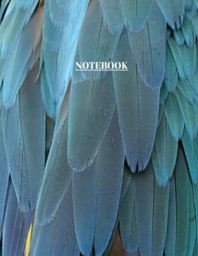 Notebook: Feather Print Composition Notebook, Journal or Diary - College Ruled 110 Pages - Large 8.5 x 11