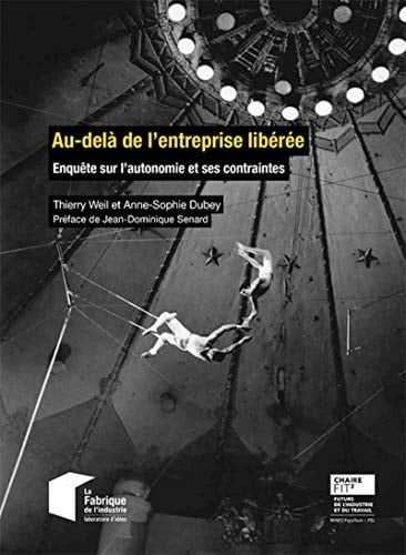 Au-delà de l'entreprise libérée Enquête sur l'autonomie et ses contraintes