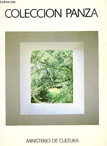 Colección Panza: Centro de Arte Reina Sofía, marzo-diciembre 1988 (Spanish Edition)