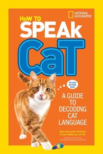 How to Speak Cat A Guide to Decoding Cat Language