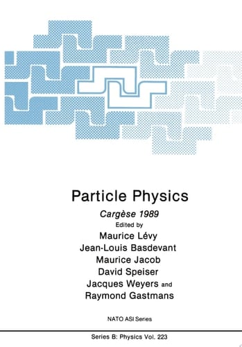 Particle Physics Cargèse 1989