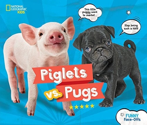 Piglets Vs. Pugs