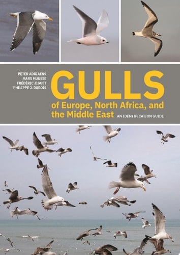 Gulls of Europe, North Africa, and the Middle East