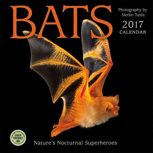 Bats 2017 Wall Calendar: Nature's Nocturnal Superheroes