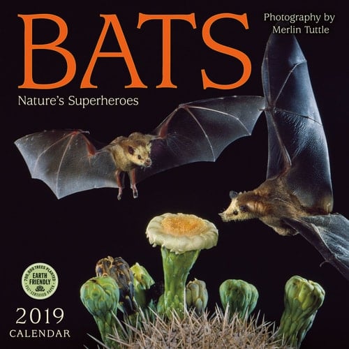 Bats 2019 Wall Calendar: Nature's Superheroes