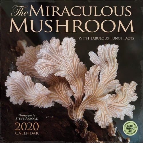 The Miraculous Mushroom 2020 Wall Calendar: With Fabulous Fungi Facts