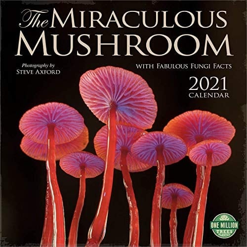 Miraculous Mushroom 2021 Wall Calendar With Fabulous Fungi Facts