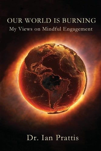 Our World Is Burning My Views on Mindful Engagement