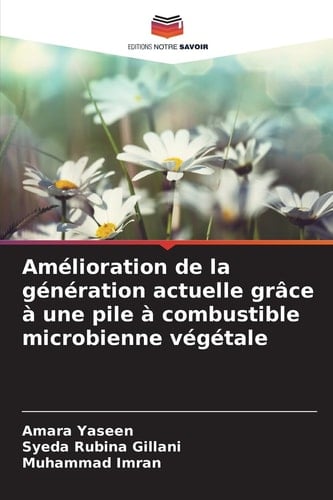 Amélioration de la génération actuelle grâce à une pile à combustible microbienne végétale