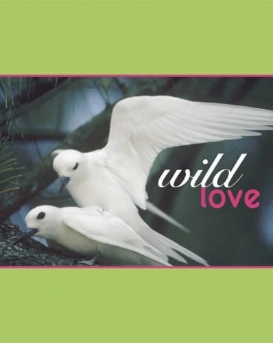 Wild Love
