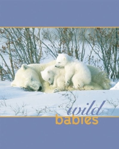 Wild Babies