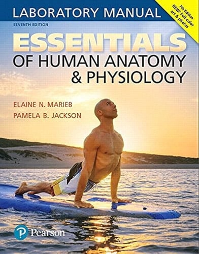 Essentials of Human Anatomy and Physiology Laboratory Manual