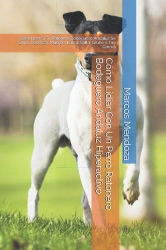 Cómo Lidiar Con Un Perro Ratonero Bodeguero Andaluz Hiperactivo Qué Hacer Si Tu Ratonero Bodeguero Andaluz Se Orina, Destroza, Muerde, Ladra, Salta, Gruñe o Tira Correa