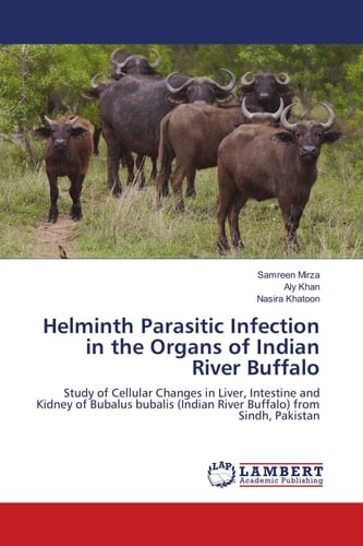 Helminth Parasitic Infection in the Organs of Indian River Buffalo Study of Cellular Changes in Liver, Intestine and Kidney of Bubalus Bubalis (Indian River Buffalo) from Sindh, Pakistan