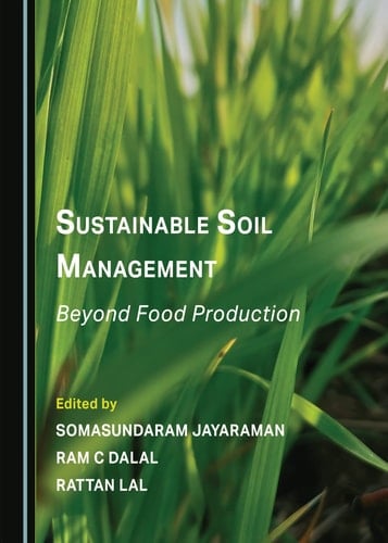 Sustainable Soil Management Beyond Food Production