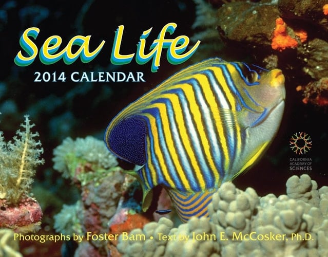 2014 Sea Life